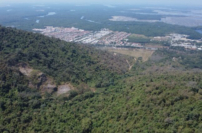 Vía a la Costa separa a Cerro Blanco de urbanizaciones construidas sobre el manglar y el bosque seco. Foto: cortesía Keep in Science / Benjamín Navas.