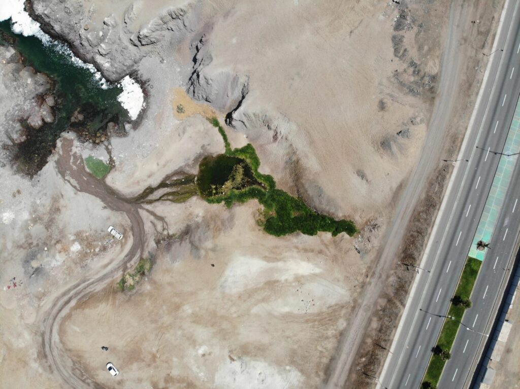 Humedal Aguada La Chimba de Antofagasta desde arriba. Foto: Fundación Kennedy