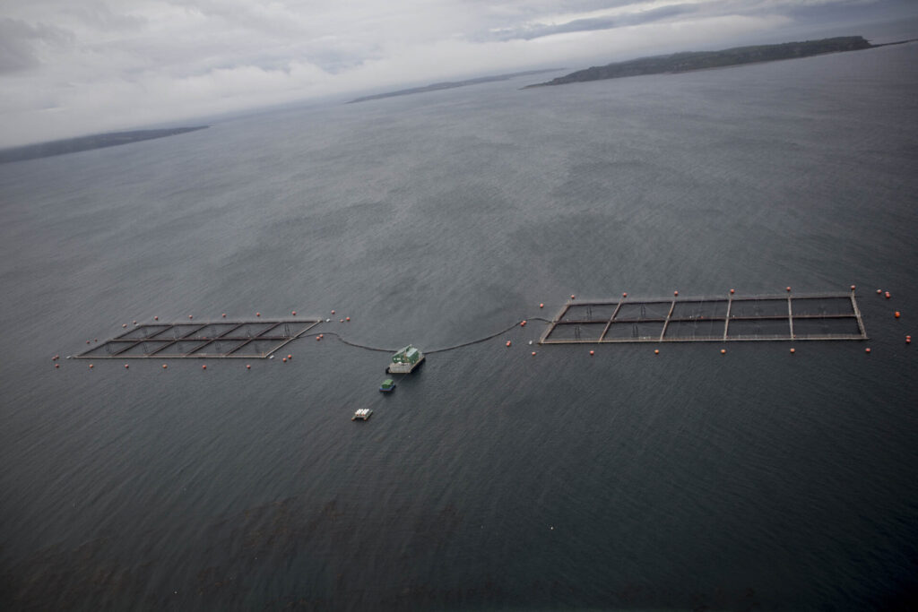 Centro salmonero en las cercanías de Chiloé, Chile. Créditos: Dani Casado
