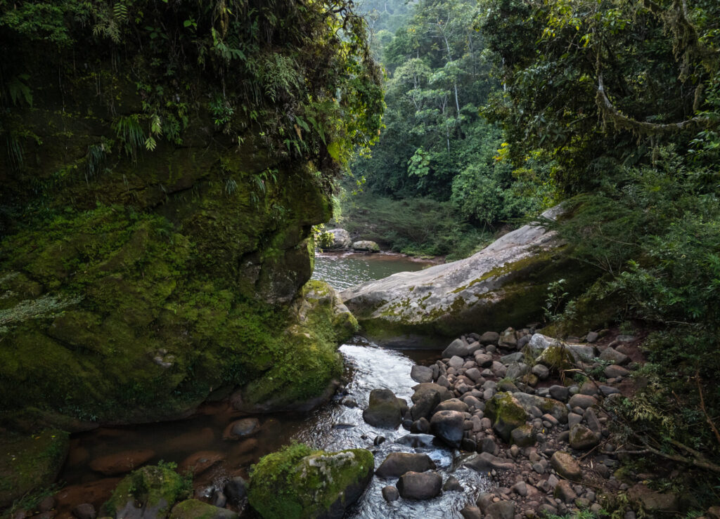Perfil de piedra. El Rostro Harakbut, escondido en la Reserva Comunal Amarakaeri. Créditos: Diego Perez Romero
