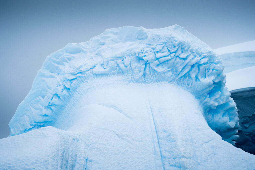 Hongo de hielo. Créditos: David Cossio