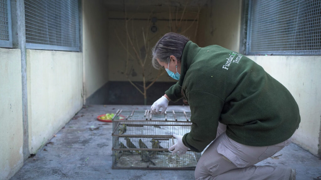 Incautación. Créditos: Fundación Temaikèn
