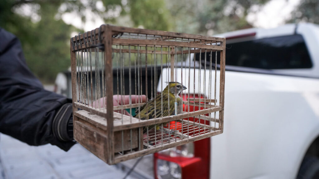 Incautación. Créditos: Fundación Temaikèn