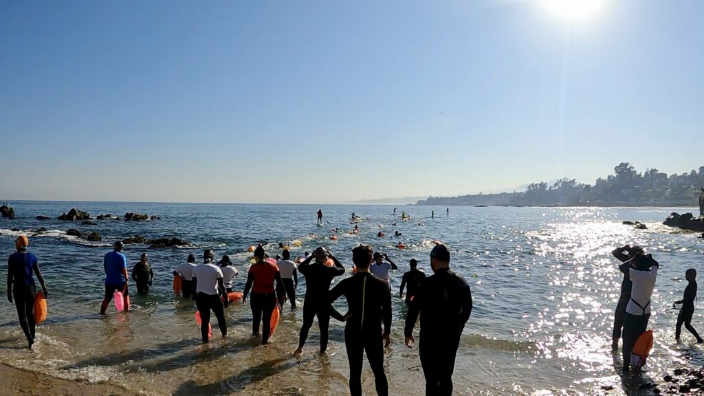 Nadadores en manifestación pacífica, Playa Las Conchitas, septiembre, 2024. Créditos: María Ignacia Pino Pérez