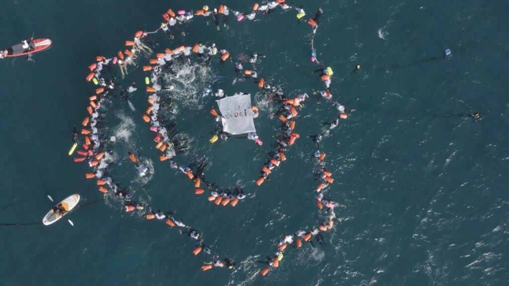 Nados en Refugio Marino Zapallar, 2023. Créditos: María Ignacia Pino Pérez