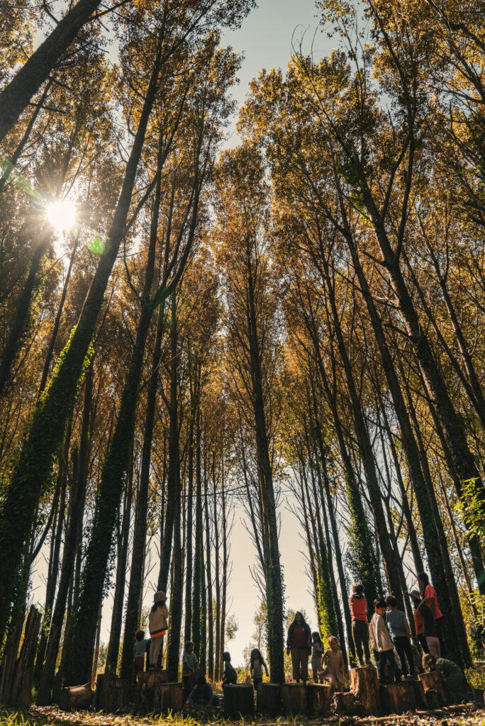 Niños en el bosque. Foto: Colegio del Bosque
