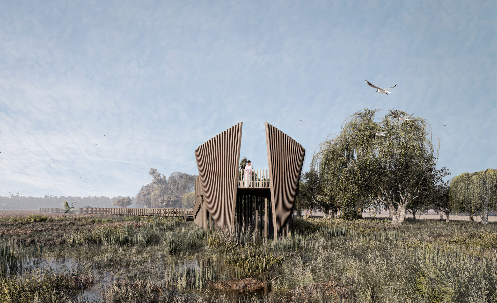 Aves que vuelan miles de kilómetros y un ecosistema degradado: El proyecto de Parque Metropolitano de Humedal que surge como una esperanza en Biobío