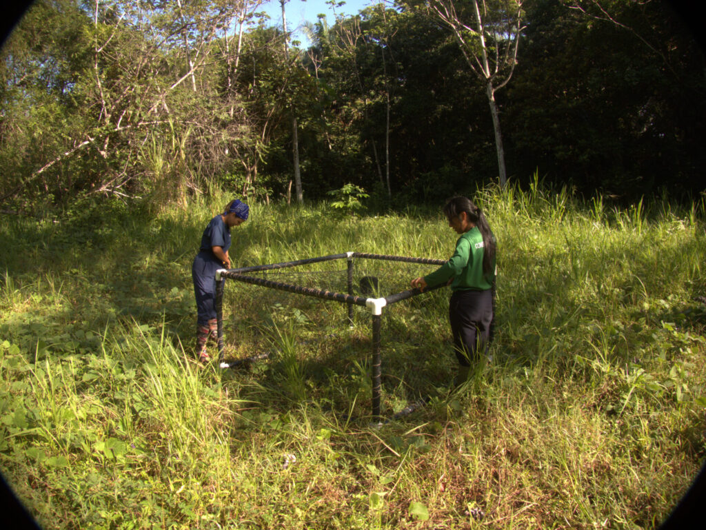 Greta Hernández y Rosio Vega Quispe instalando jaula. Créditos: Osa Conservation
