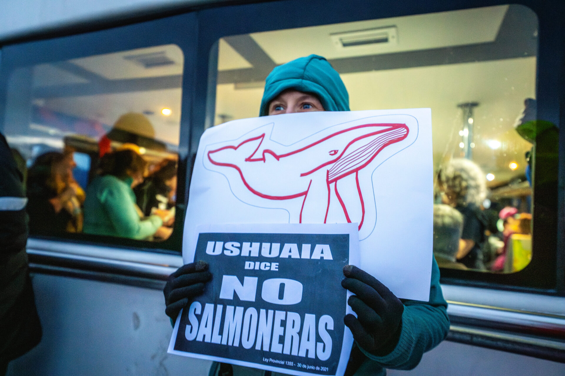 El mundo ambientalista en alerta por lobby salmonero en Chile y Argentina