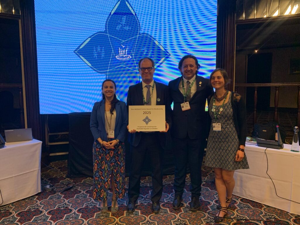 Humedal Aguada La Chimba de Antofagasta recibe destacado reconocimiento internacional por su aporte a la biodiversidad. Foto: Fundación Kennedy