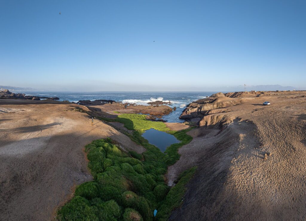 Humedal Aguada La Chimba de Antofagasta. Foto: Fundación Kennedy