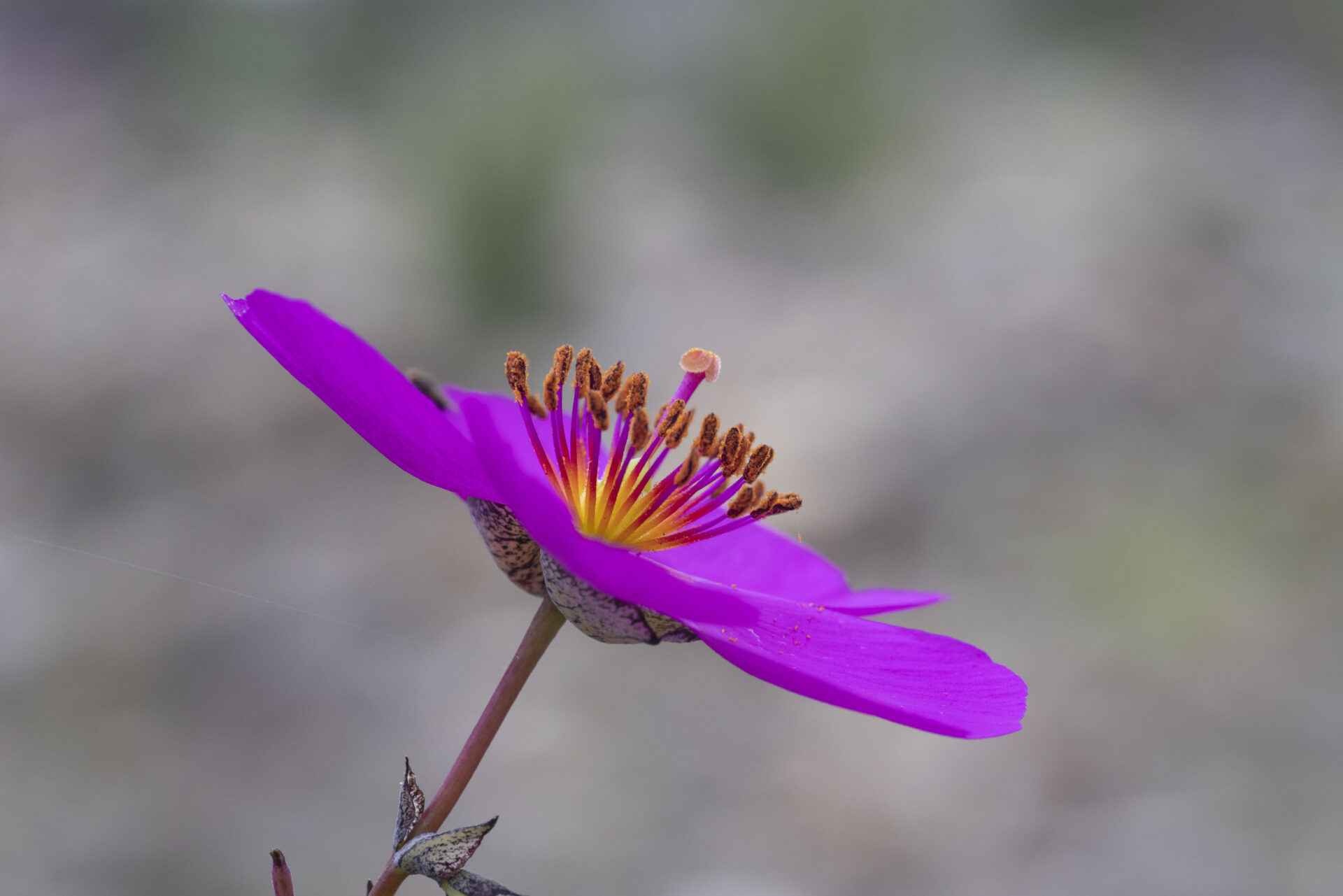 Encuentro por la Biodiversidad: Turismo al servicio de la conservación de la naturaleza y la resiliencia de los territorios