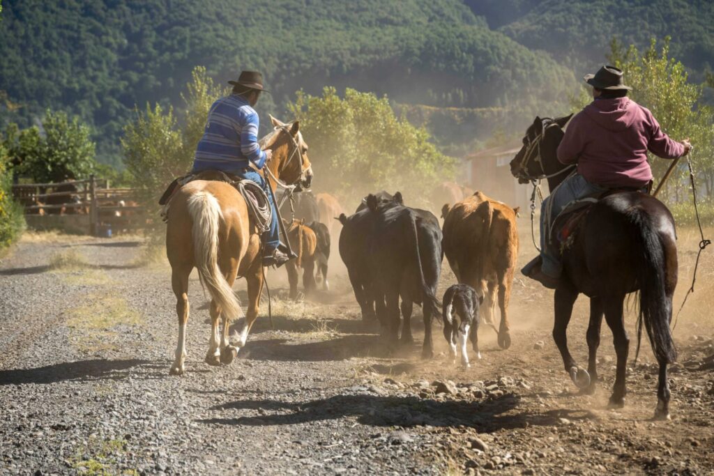 Arrieros en Antuco. Foto: Fundación Madrugada