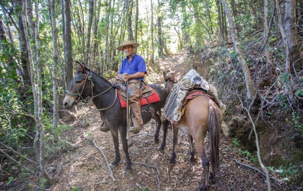 Hombre con sus caballos. Foto: Fundación Madrugada
