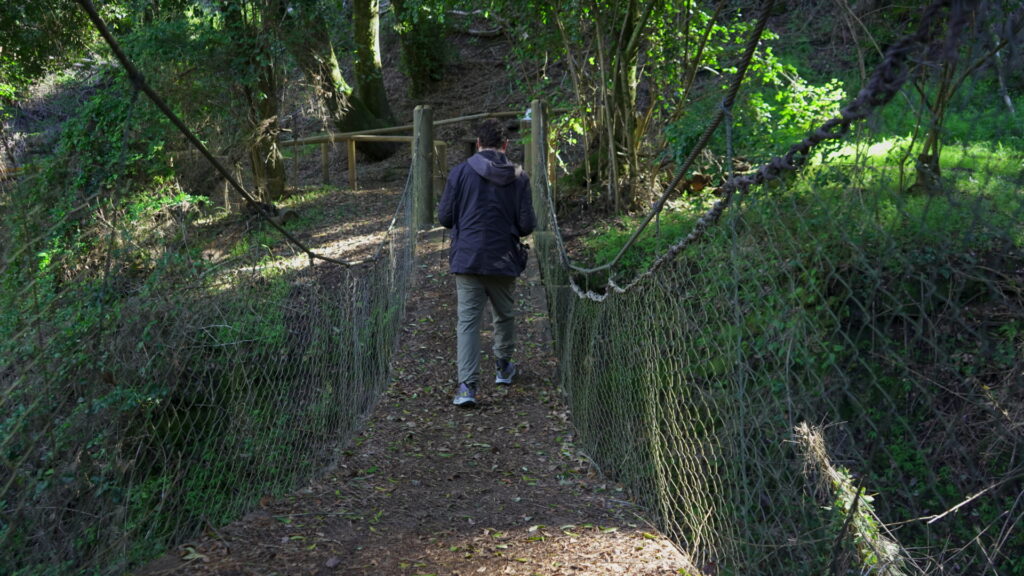 Parque Coyanmahuida. Créditos: Arauco.