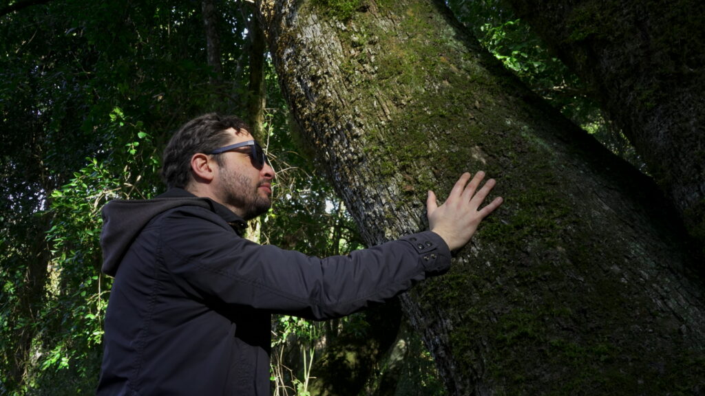 Parque Coyanmahuida. Créditos: Arauco.