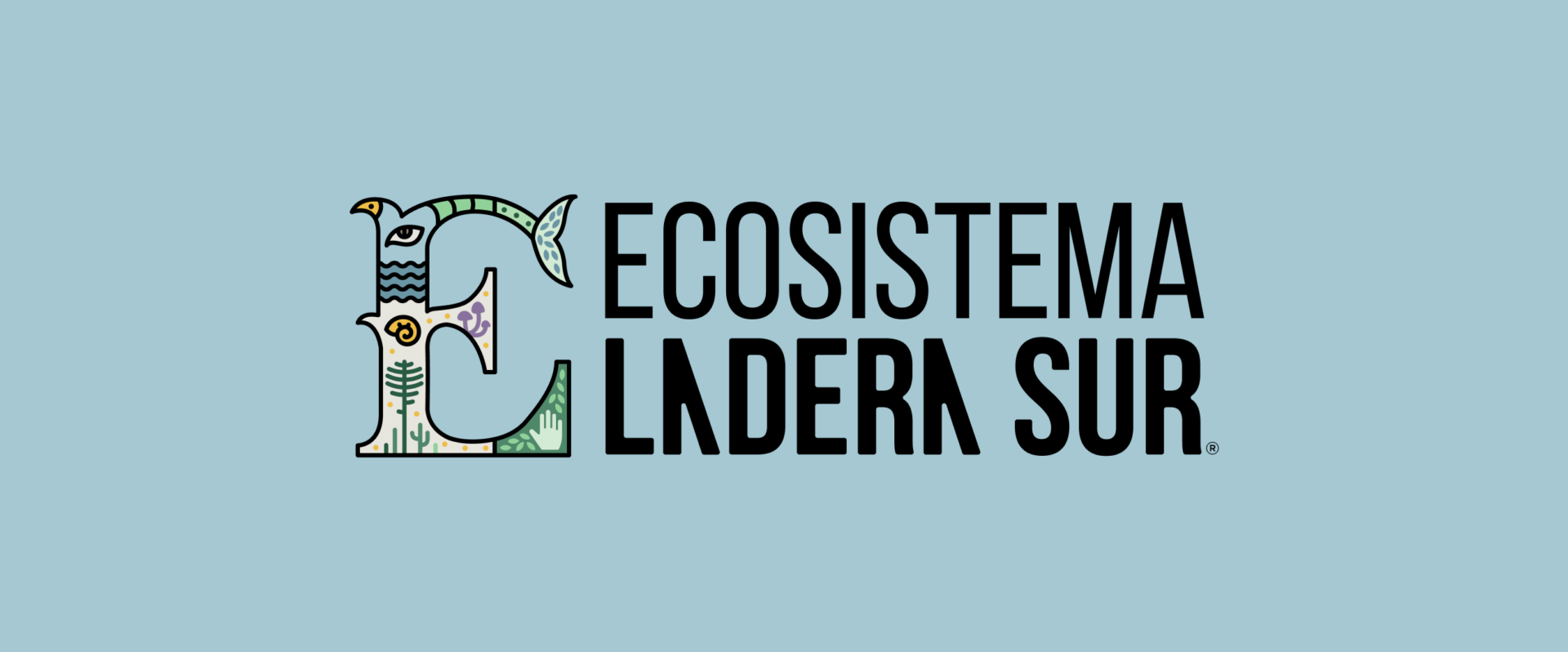 Festival Ladera Sur 2025 debuta con nuevo proyecto para su primer día: «Ecosistema Ladera Sur: Naturaleza sana, economía consciente»