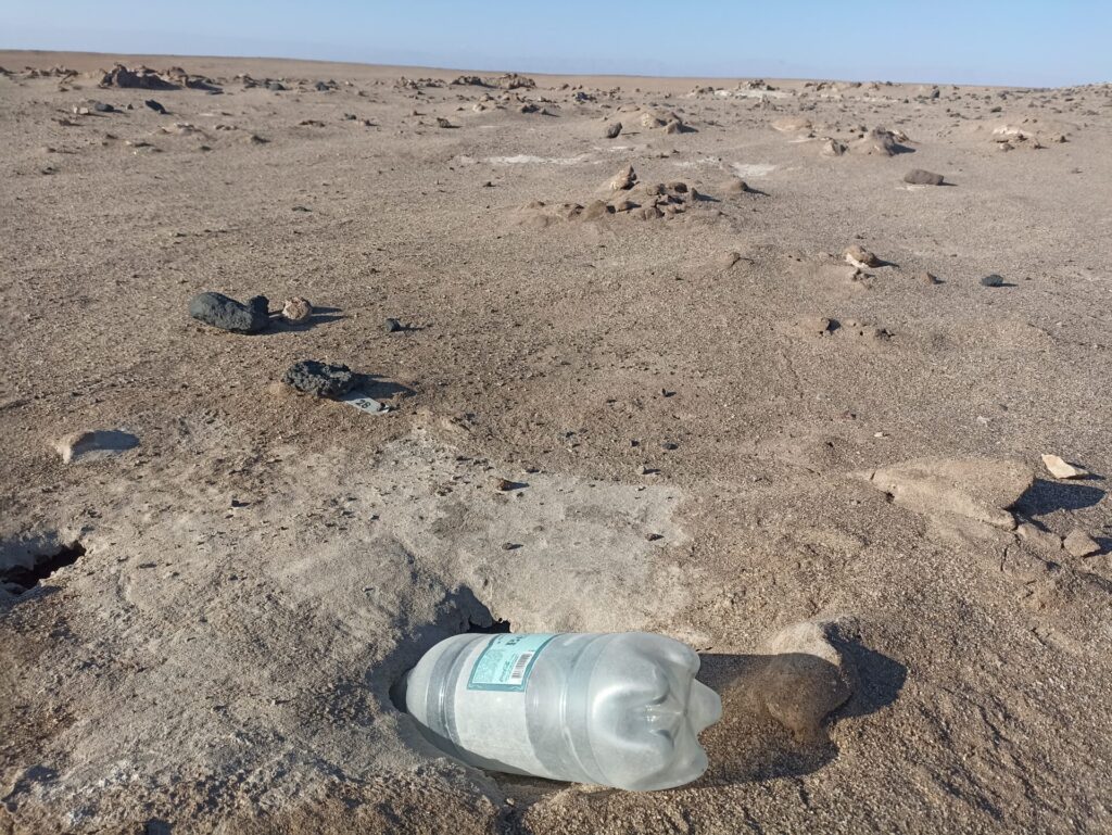 Efecto taponamiento de nido con basura. Créditos: ROC