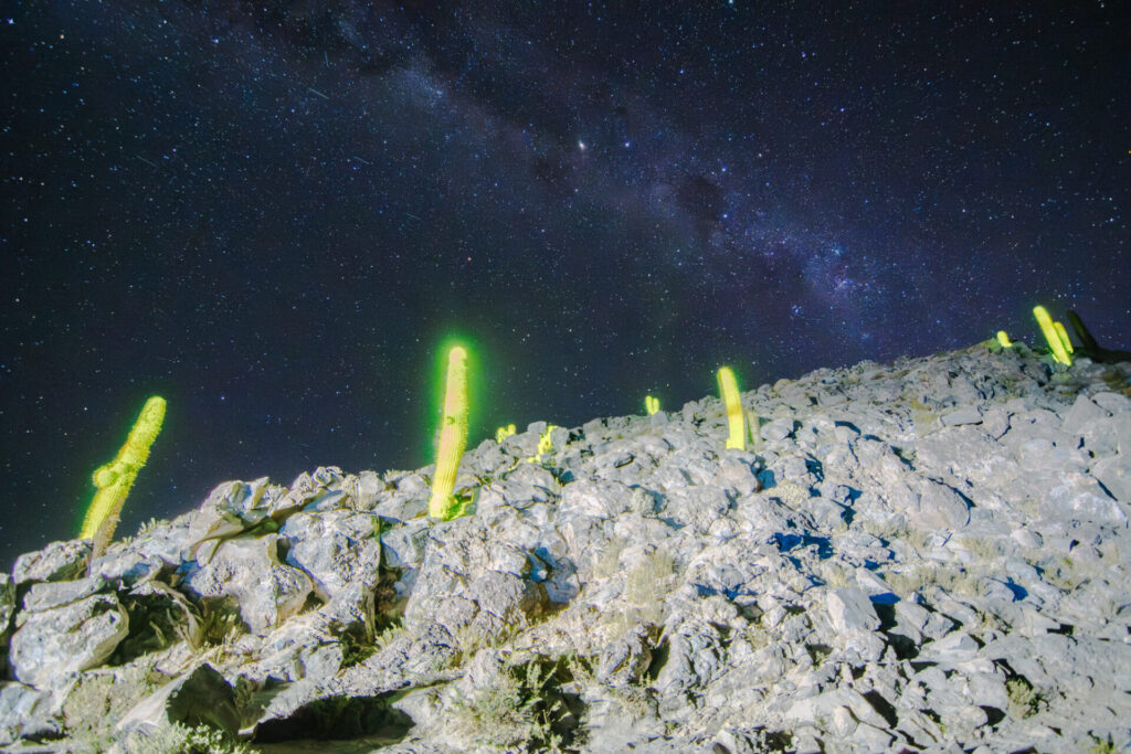 Proyección en el valle de los cactus en Guatin. Foto: Daniela Esperanza y Animahop