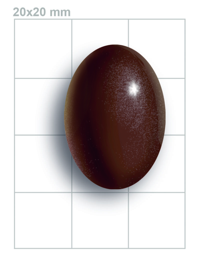 Perdiz Chilena.Daniel Martínez-Piña, Museo Ediciones