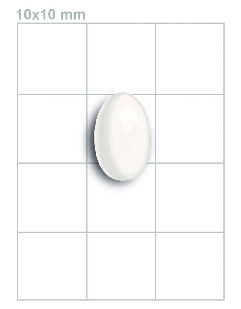 Picaflor chico. Daniel Martínez-Piña, Museo Ediciones