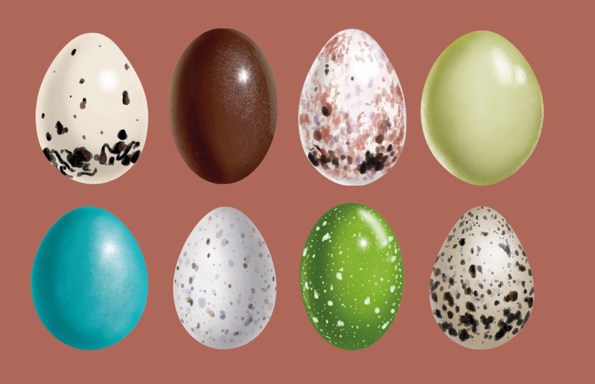 ¿Has visto un lindo huevito? Las formas, colores y misterios detrás de los huevos más vistosos de aves chilenas