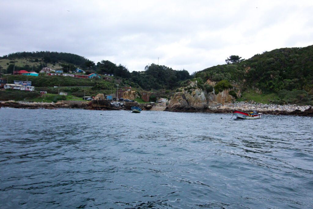 Vista de Caleta Chome desde el mar. Créditos: ©Tamara Núñez