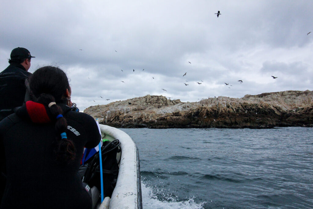 Navegación por las costas de Caleta Chome. Créditos: ©Tamara Núñez