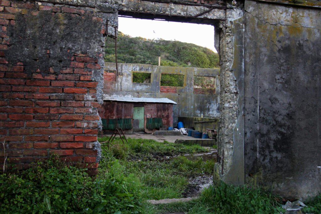 Ex ballenera Trinidad, Caleta Chome. Créditos: ©Tamara Núñez