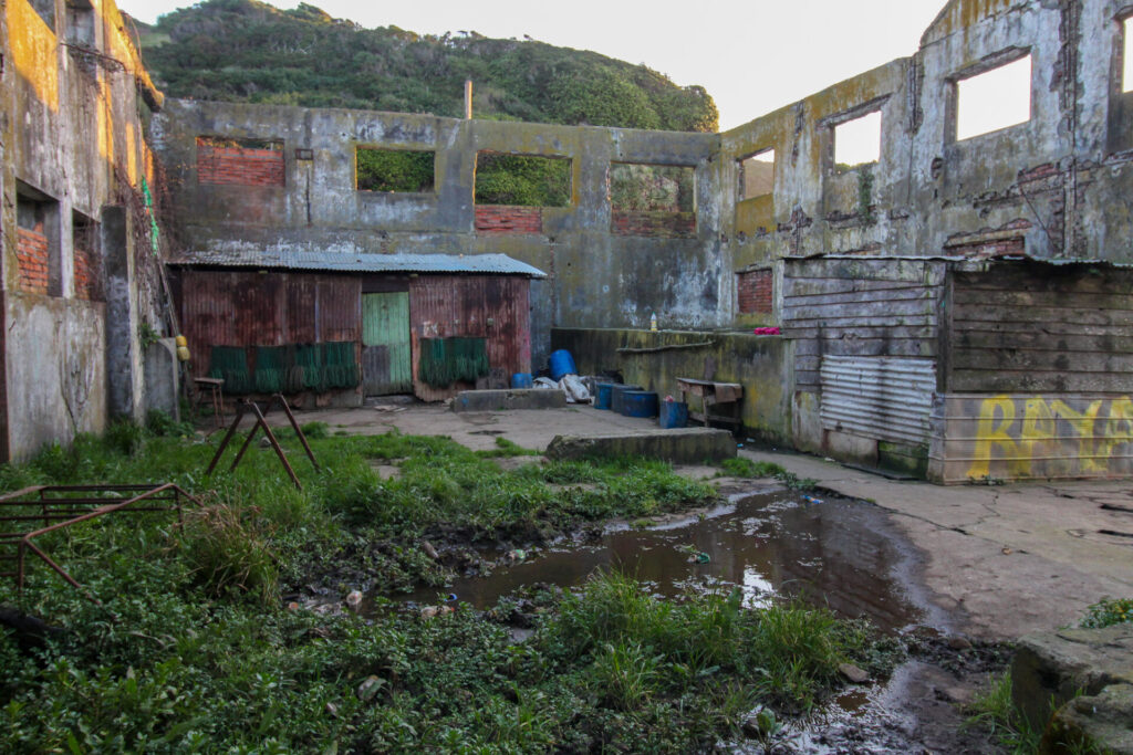 Ex ballenera Trinidad, Caleta Chome. Créditos: ©Tamara Núñez