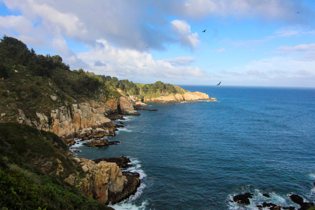 Vista de la Península de Hualpén desde Cerro Llorón, Caleta Chome. Créditos: ©Tamara Núñez