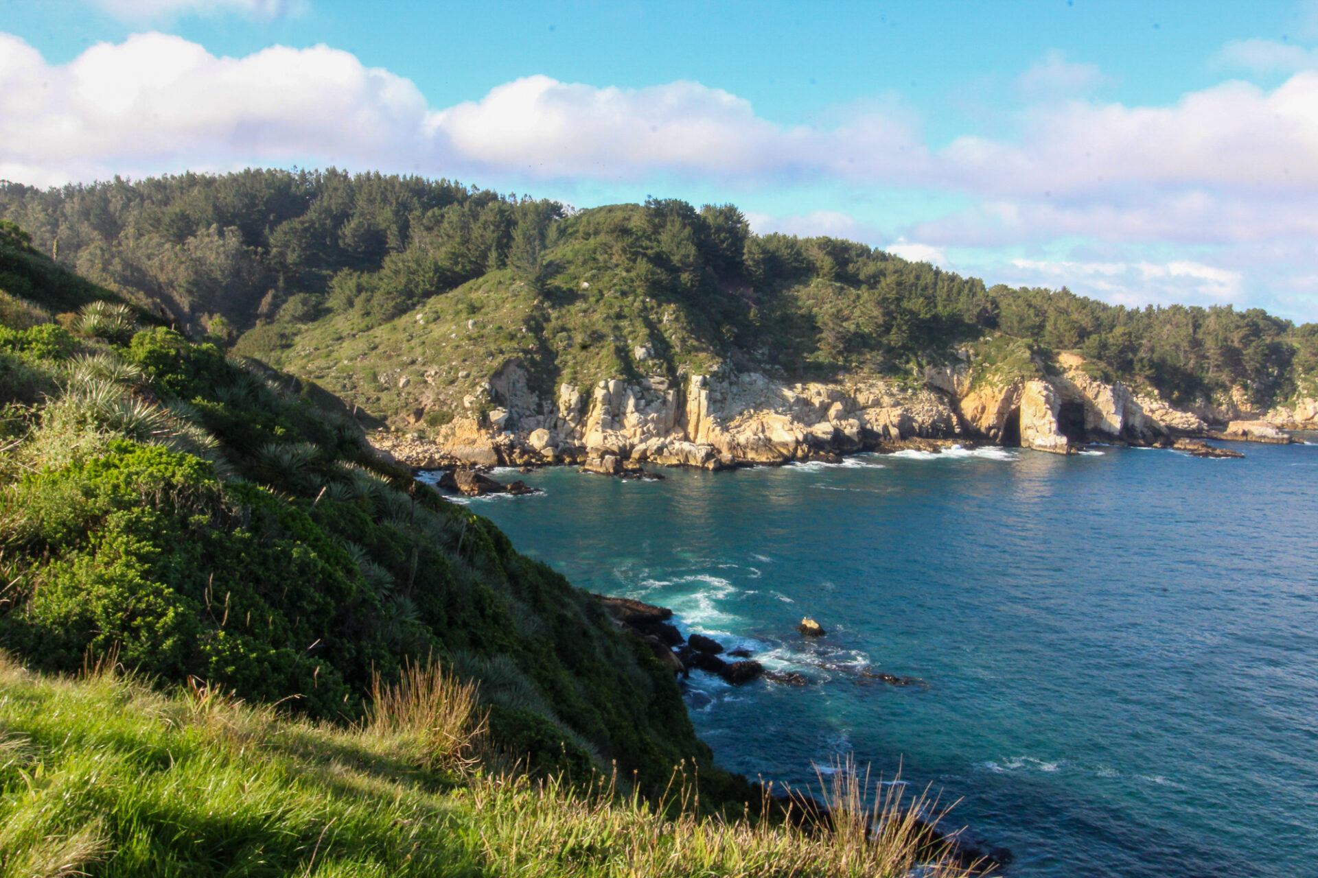 Descubrir Caleta Chome: De pueblo ballenero a paraíso natural