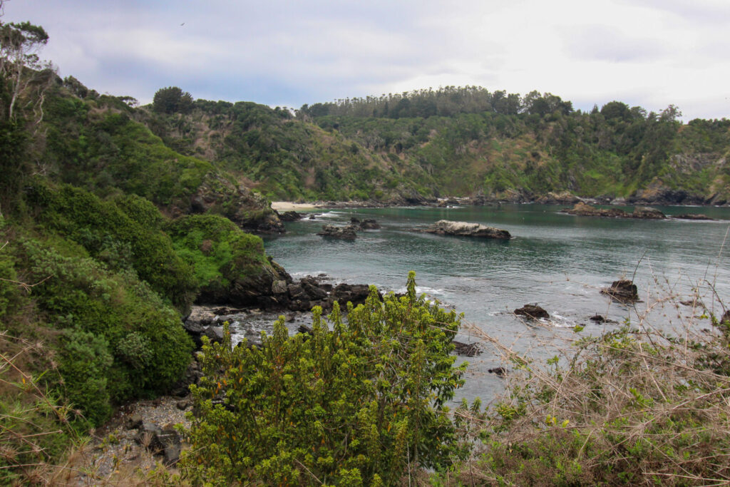 Playa las ratas, Península de Hualpén. Créditos: ©Tamara Núñez