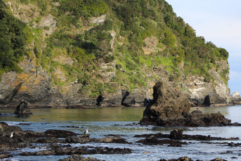 Playa Los Burros, Península de Hualpén. Créditos: ©Tamara Núñez