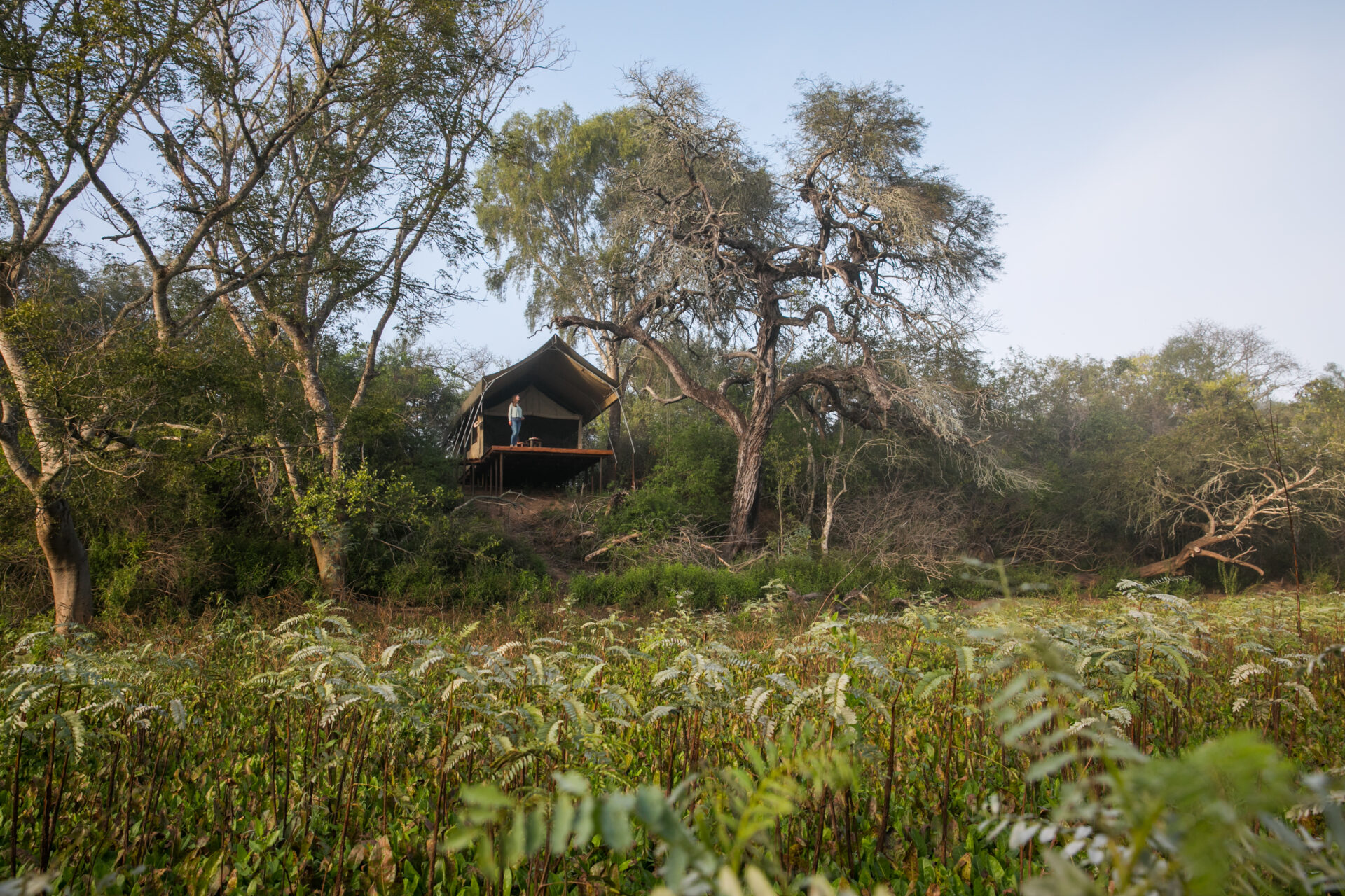 El sueño de un “parque Kruger” para Argentina: Explorando el Parque Nacional El Impenetrable en el Chaco, biodiversidad y turismo de naturaleza