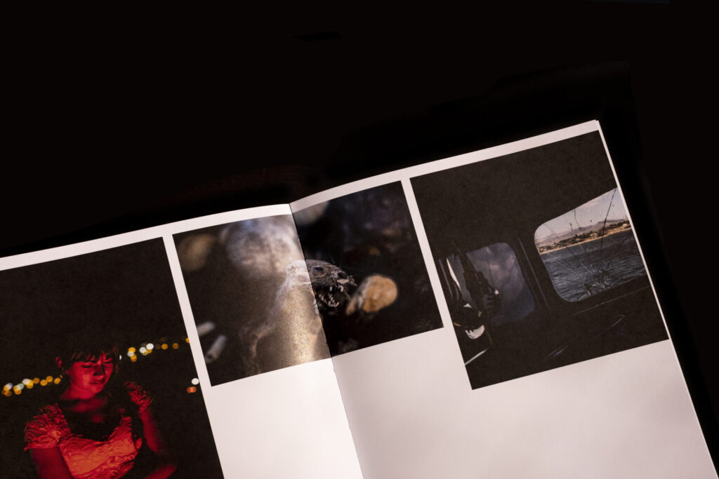 Libro "Atlas de la historia abstracta y subjetiva de Chile". Créditos: Alejandro Olivares