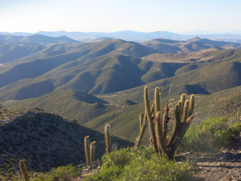 Línea de freno al desierto Límite norte de El Durazno