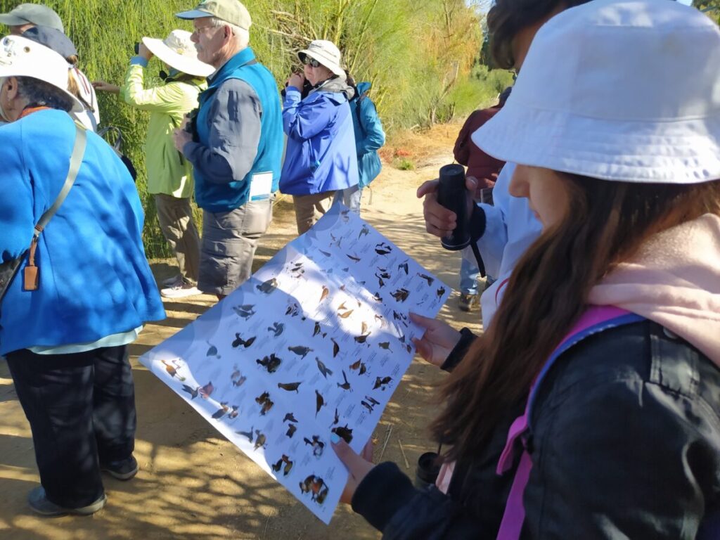 Los visitantes al Ecoparque pueden participar en recorridos de observación guiados por el Laboratorio de Aves de la UABCS y Pronatura Noroeste. Foto: cortesía Víctor Ayala