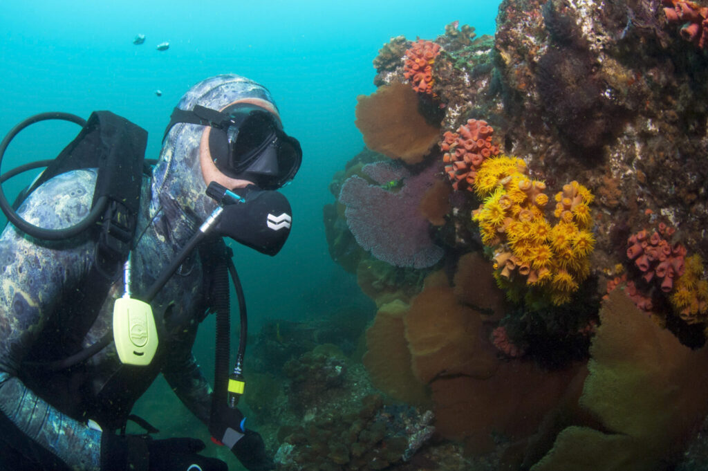 Buceo. Créditos: Octavio Aburto-Oropeza