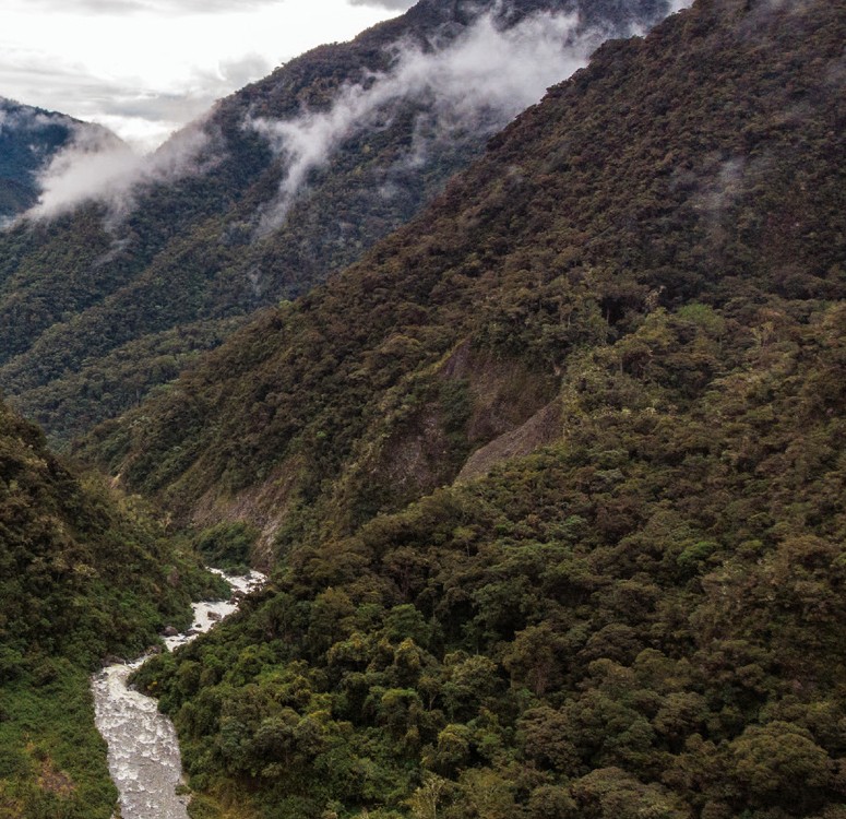 La Marmosa chachapoya fue hallada en el Parque Nacional Río Abiseo. Foto: Sernanp