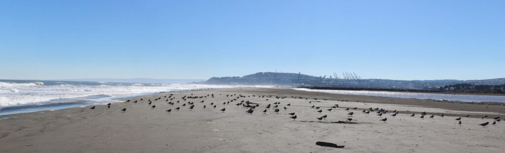 Paisaje actual desde la Playa de Marbella hacia la desembocadura del Río Maipo (PO21). Créditos: Fundación Cosmos