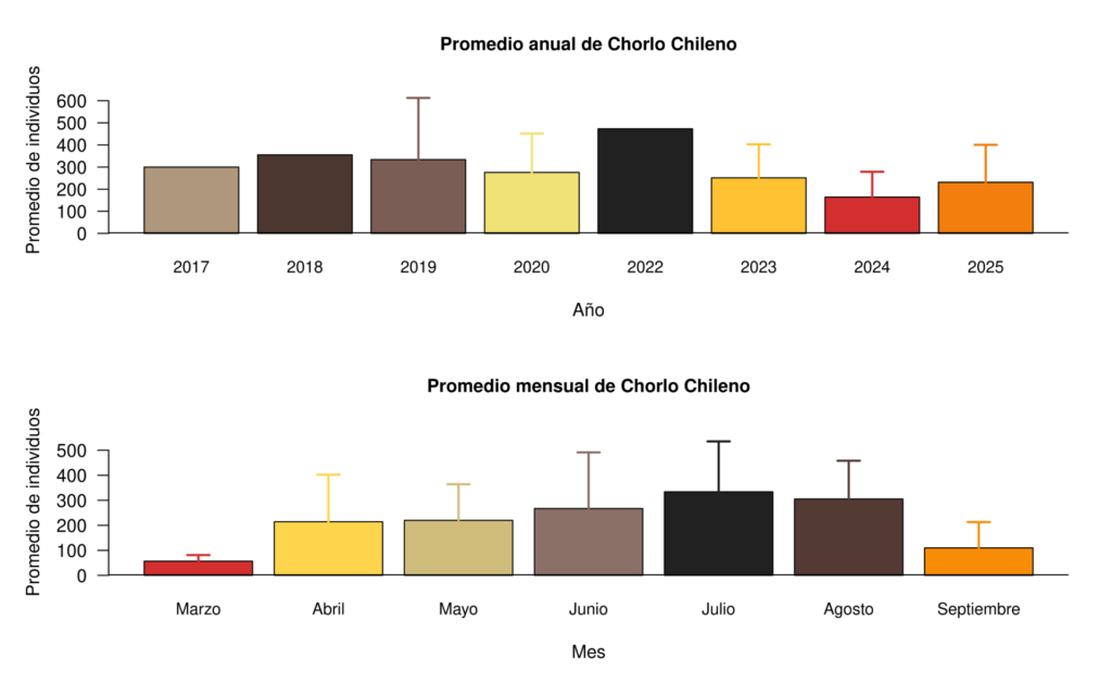 Promedio (+ desviación estándar) de individuos de Chorlo Chileno registrados por año y por mes en el sitio PASMAR, Mall de Alerce, Puerto Montt. Créditos: ROC