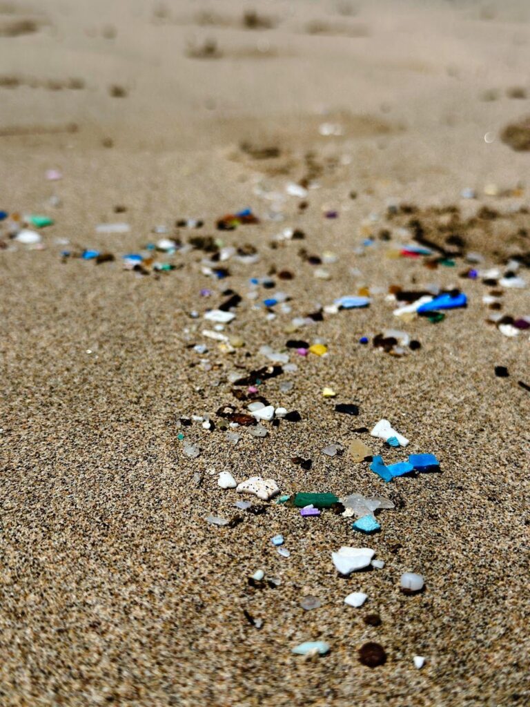 Residuos de plástico en una playa de Fernando de Noronha. Foto cortesía Sea Shepherd Brasil