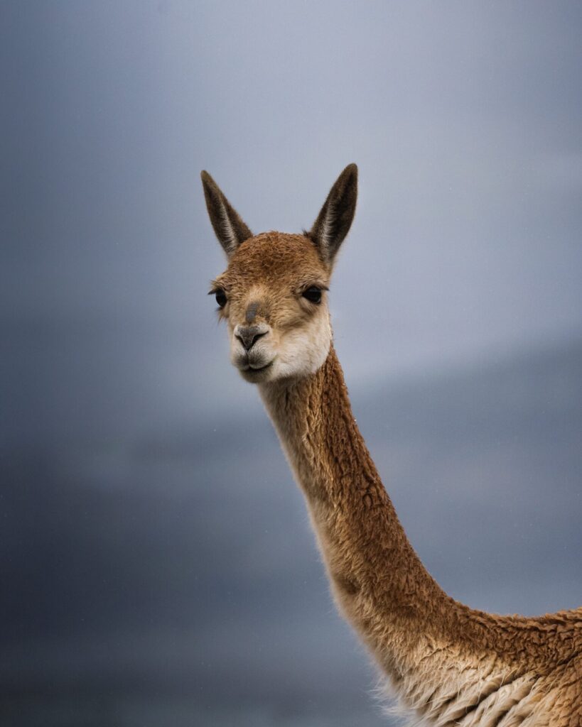 Créditos: Shutterstock.