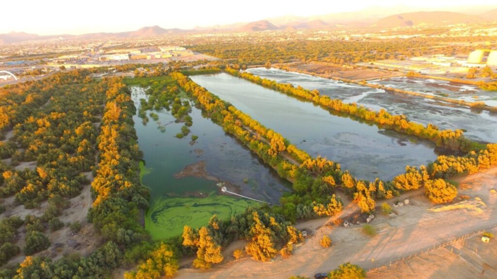 Vista panorámica que permite apreciar la extensión de 17.5 hectáreas del humedal artificial del Ecoparque. Foto: cortesía Víctor Ayala