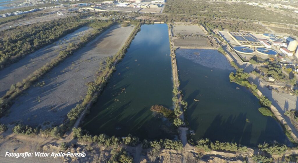 Vista panorámica de las lagunas durante su proceso de desecación. A la derecha, la planta de tratamiento de guas residuales. Foto: cortesía Víctor Ayala