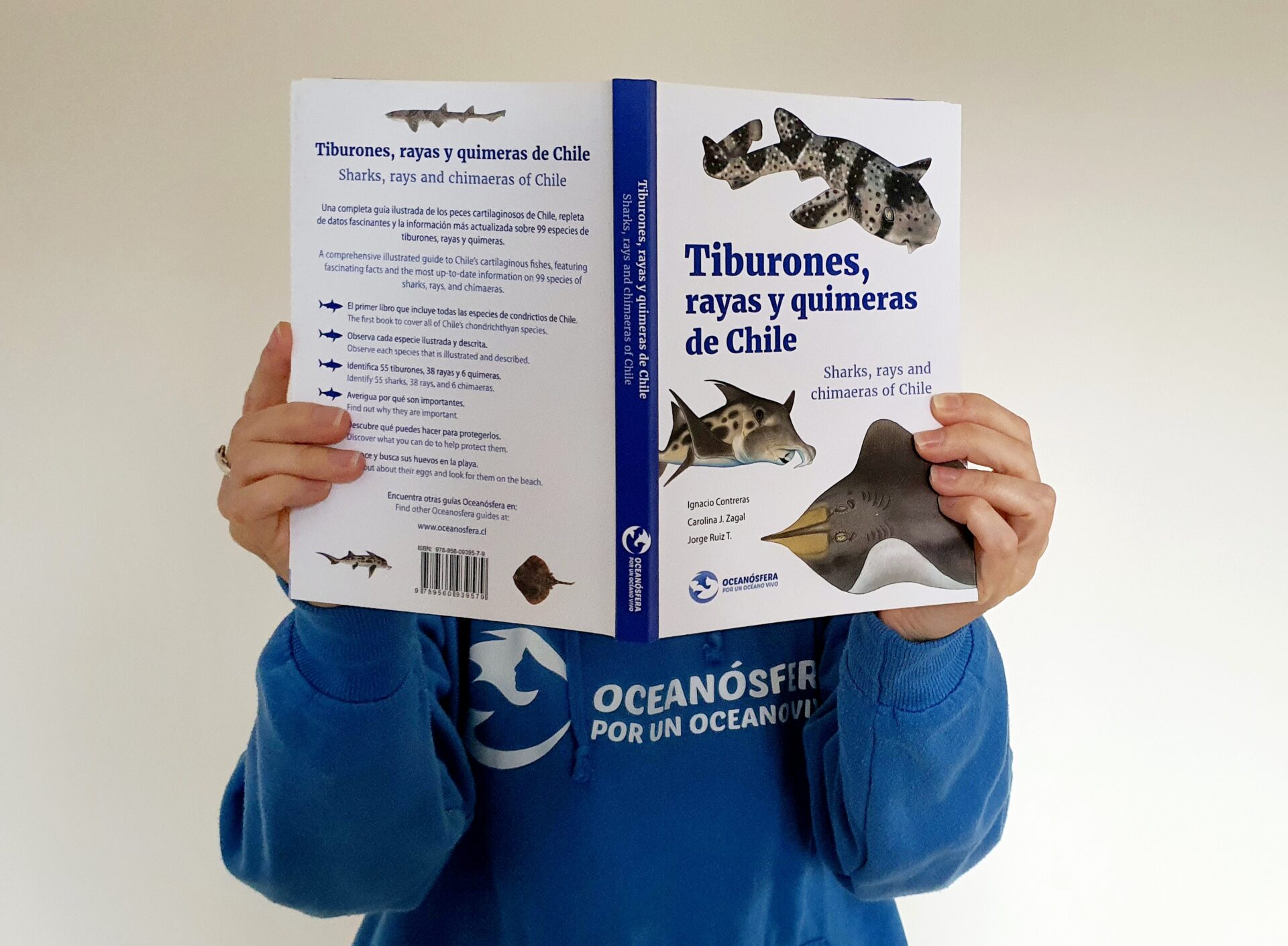 Primera obra ilustrada que incluye todas las especies de peces cartilaginosos (condrictios) registradas en Chile