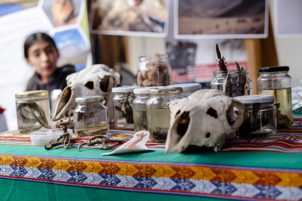 Foto del festival en su versión 2024. Créditos Aconcagua Fest