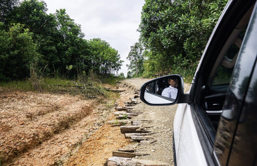 Una de las carreteras de la selva construidas bajo el control de los CDF. Foto: Bram Ebus