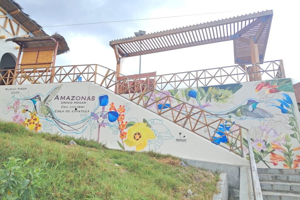En la región de Amazonas se realizan murales del colibrí cola de espátula para promover el cuidado de la especie. Foto: Landes